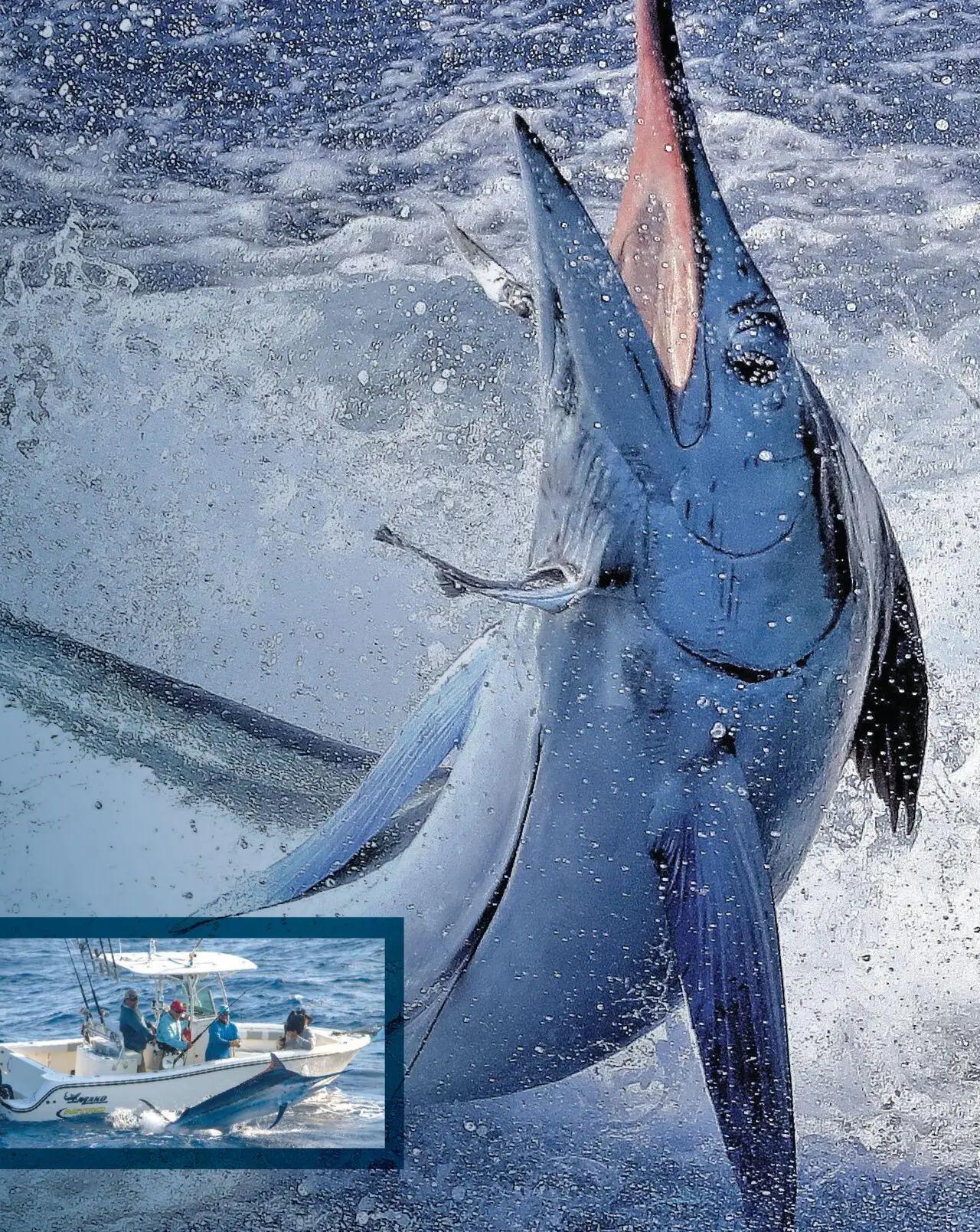 cabelas - Cabela's Saltwater Specialist 25 - from Wednesday 01/01 2025 - page: 9