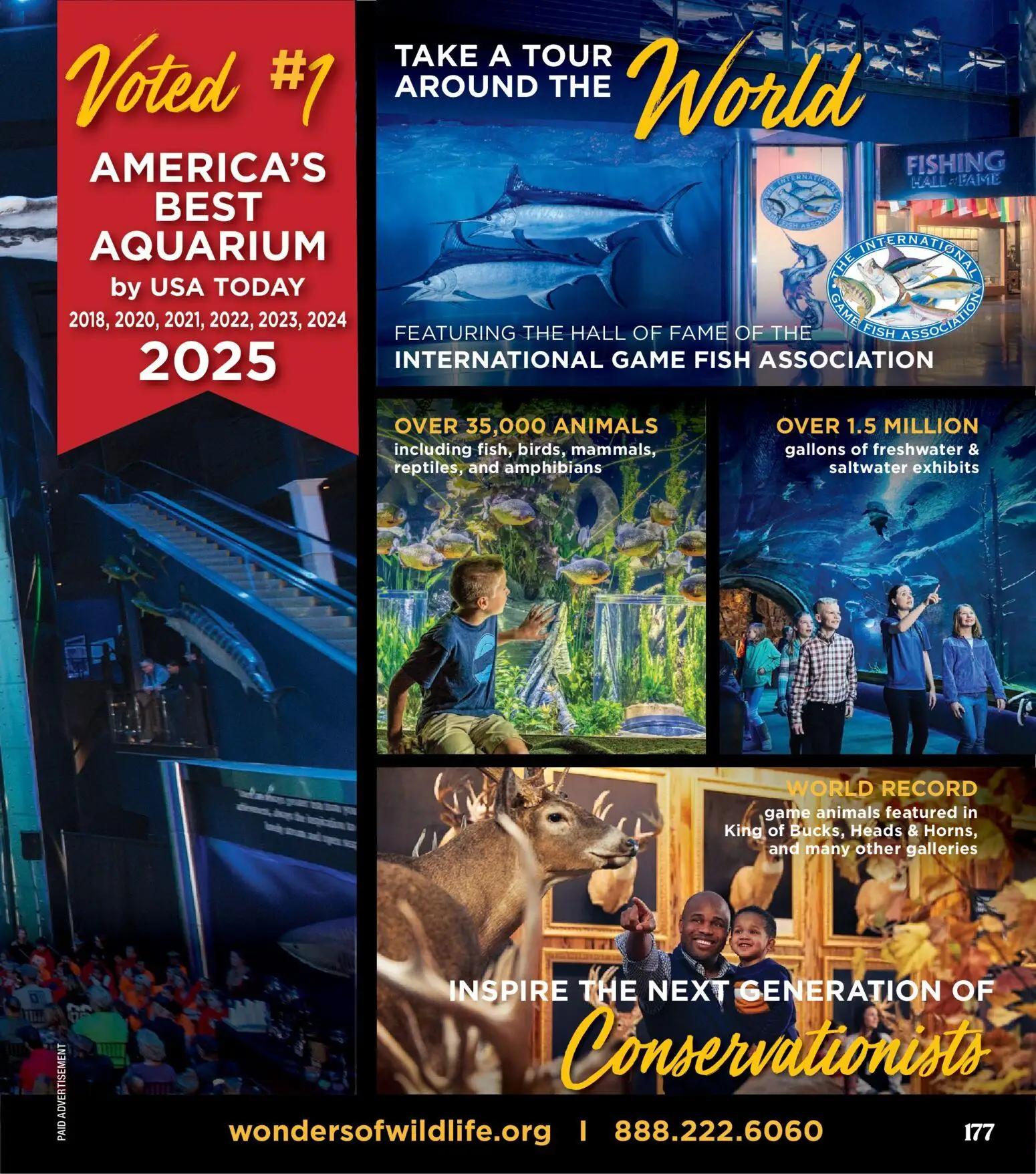 cabelas - Cabela's Kids' Wishbook 25 - from Saturday 11/01 2025 - page: 177