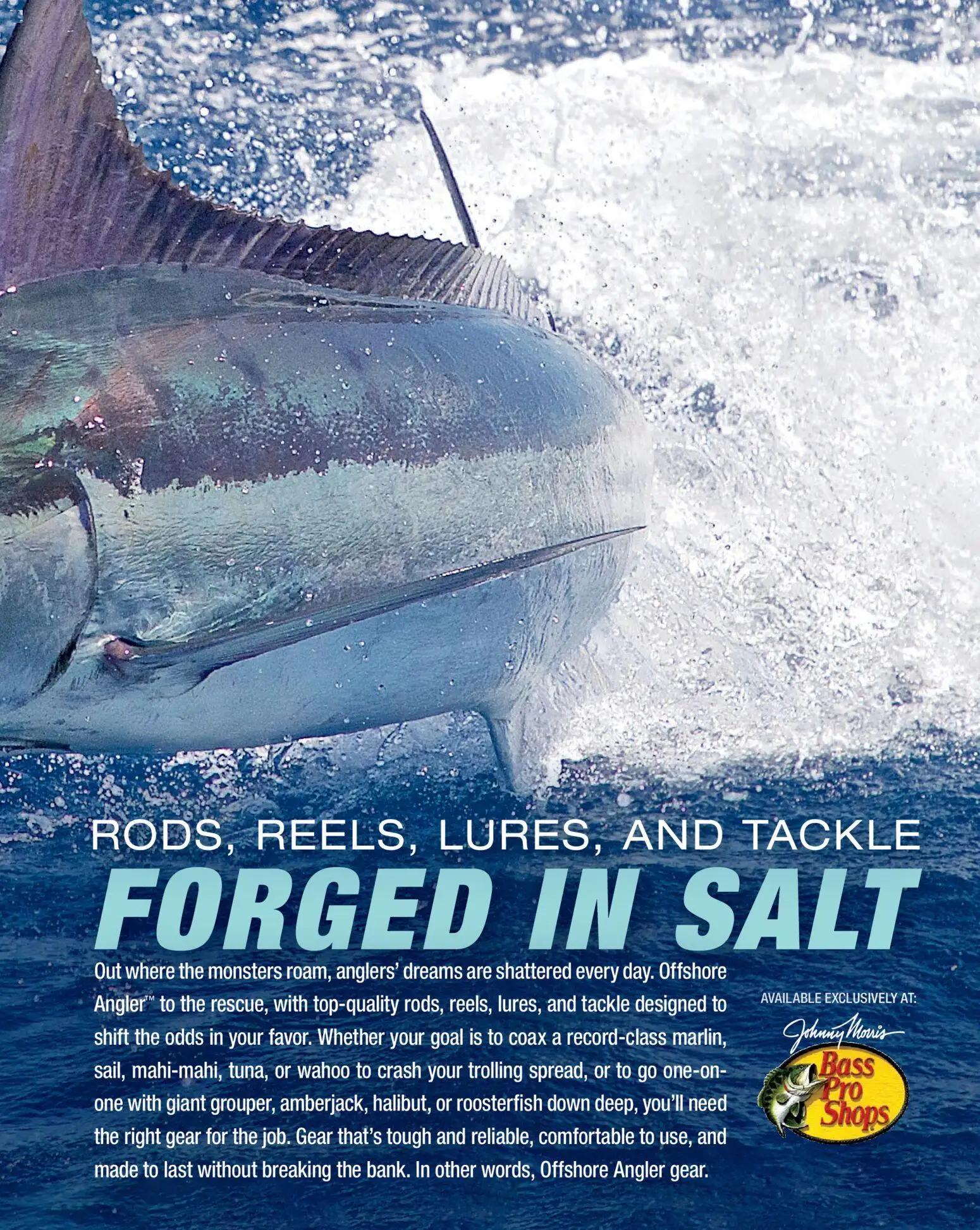 cabelas - Cabela's Saltwater Specialist 26 - from Monday 12/15 2025 - page: 7