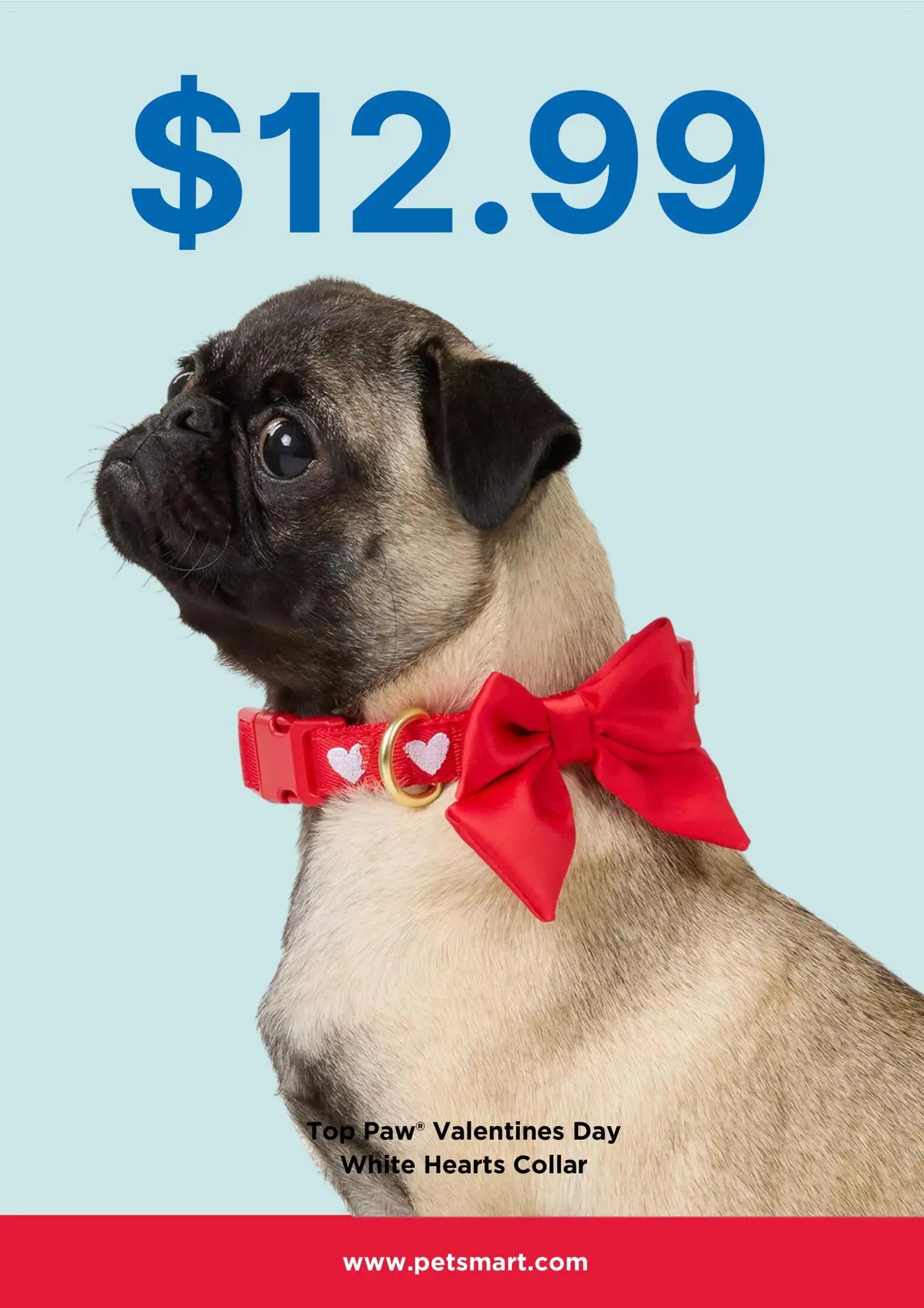 petsmart - Petsmart Monthly Ad - 01/01 - 01/31 2026 - page: 2
