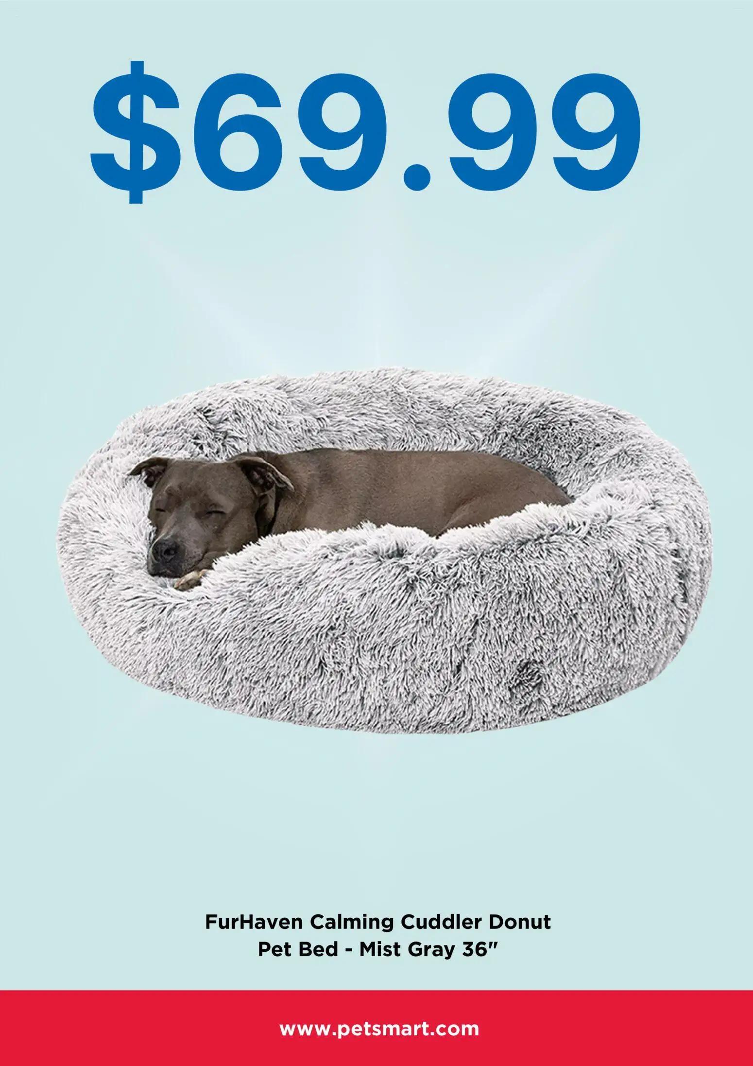 petsmart - Petsmart Monthly Ad - 01/01 - 01/31 2026 - page: 4